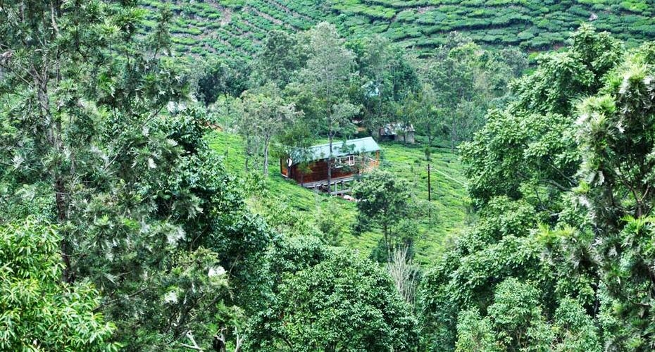 Adubettu Leisure Homes, Kotagiri 2